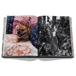 Книга подарочная Смелый бразильский стиль Сиг Бергамина Assouline Maximalism by Sig Bergamin варинант исполнения - 9 | Loft Concept в Грозном