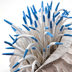 Статуэтка тропический фрукт Tropical Fruit White Blue варинант исполнения - 1 | Loft Concept в Грозном