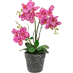 Декоративный искусственное растение Pink orchid варинант исполнения - 1 | Loft Concept в Грозном