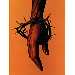 Подарочная книга величайший фотограф Альберт Уотсон The Vienna album Albert Watson варинант исполнения - 4 | Loft Concept в Грозном