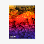 Редкое подарочное издание Yayoi Kusama: 1945 to Now варинант исполнения - 3 | Loft Concept в Грозном