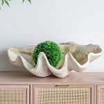 Блюдо декоративное в виде ракушки Seashell варинант исполнения - 3 | Loft Concept в Грозном