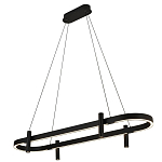 Люстра подвесная овальная черная  Black Light Fixtures варинант исполнения - 1 | Loft Concept в Грозном