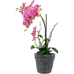 Декоративный искусственное растение Pink orchid варинант исполнения - 4 | Loft Concept в Грозном