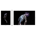 Монография художника Tavares Strachan - There is Light Somewhere варинант исполнения - 6 | Loft Concept в Грозном