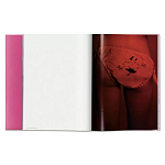 Книга Gisele Bundchen варинант исполнения - 7 | Loft Concept в Грозном