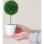 Декоративный искусственное растение Boxwood One варинант исполнения - 6 | Loft Concept в Грозном