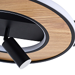 Потолочный светильник круглый GAVIN WOOD варинант исполнения - 2 | Loft Concept в Грозном