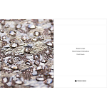 Книга Maison Lesage: Haute Couture Embroidery Mauries Patrick варинант исполнения - 11 | Loft Concept в Грозном