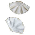 Фигурка из фарфора в виде одной створки ракушки Marine Tridacna варинант исполнения - 3 | Loft Concept в Грозном