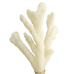 Статуэтка Stand Coral варинант исполнения - 2 | Loft Concept в Грозном