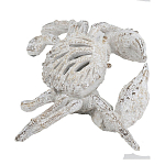 Статуэтка краб с детализированной текстурой в белом цвете Marine Accessories варинант исполнения - 4 | Loft Concept в Грозном