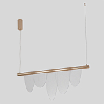 Люстра подвесная с пятью прозрачными элементами в форме лепестков и золотистым металлическим основанием DALI Tonin Casa варинант исполнения - 2 | Loft Concept в Грозном