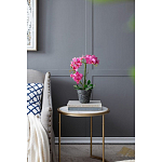 Декоративный искусственное растение Pink orchid варинант исполнения - 8 | Loft Concept в Грозном