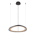 Люстра светодиодная  Iris варинант исполнения - 2 | Loft Concept в Грозном