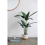 Декоративный искусственное растение Decor Stile  варинант исполнения - 7 | Loft Concept в Грозном