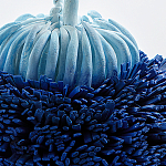 Статуэтка Синий тропический фрукт Tropical Fruit Pandora 1 варинант исполнения - 4 | Loft Concept в Грозном