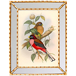 Постер с изображением птиц и цветов в зеркальной раме Blooming Birds Poster варинант исполнения - 7 | Loft Concept в Грозном