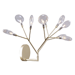 Бра в виде ветвей с прозрачными круглыми плафонами Moooi варинант исполнения - 1 | Loft Concept в Грозном