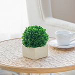 Декоративный искусственное растение Square boxwood варинант исполнения - 6 | Loft Concept в Грозном