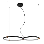 Люстра подвесная светодиодная черный металл Ring Horizontal варинант исполнения - 9 | Loft Concept в Грозном