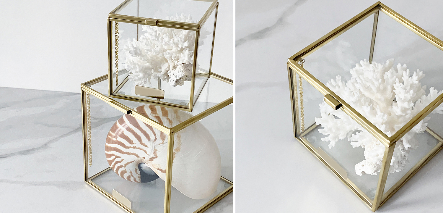 Статуэтка Natural Coral Glass Box S Статуэтка Natural Coral Glass Box S - Loft-Concept в Грозном