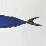 Плитка с узором Рыба пловчиха варинант исполнения - 6 | Loft Concept в Грозном