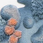 Тканый вручную Большой абстрактный гобелен Frost Forest варинант исполнения - 1 | Loft Concept в Грозном