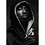 Подарочная книга величайший фотограф Альберт Уотсон The Vienna album Albert Watson варинант исполнения - 2 | Loft Concept в Грозном