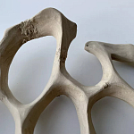 Блюдо «Бежевый коралл» варинант исполнения - 3 | Loft Concept в Грозном