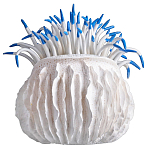 Статуэтка тропический фрукт Tropical Fruit White Blue варинант исполнения - 3 | Loft Concept в Грозном