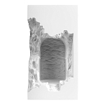 Встраиваемый в стену гипсовый светильник под покраску с эффектом разрушенной стены Antiquity Athena варинант исполнения - 2 | Loft Concept в Грозном