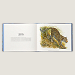 Лимитированная подарочная книга HERMES Fierce and Fragile book, English version варинант исполнения - 3 | Loft Concept в Грозном