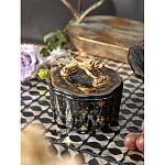 Шкатулка черного цвета с крышкой с фигуркой льва Eden Garden варинант исполнения - 6 | Loft Concept в Грозном