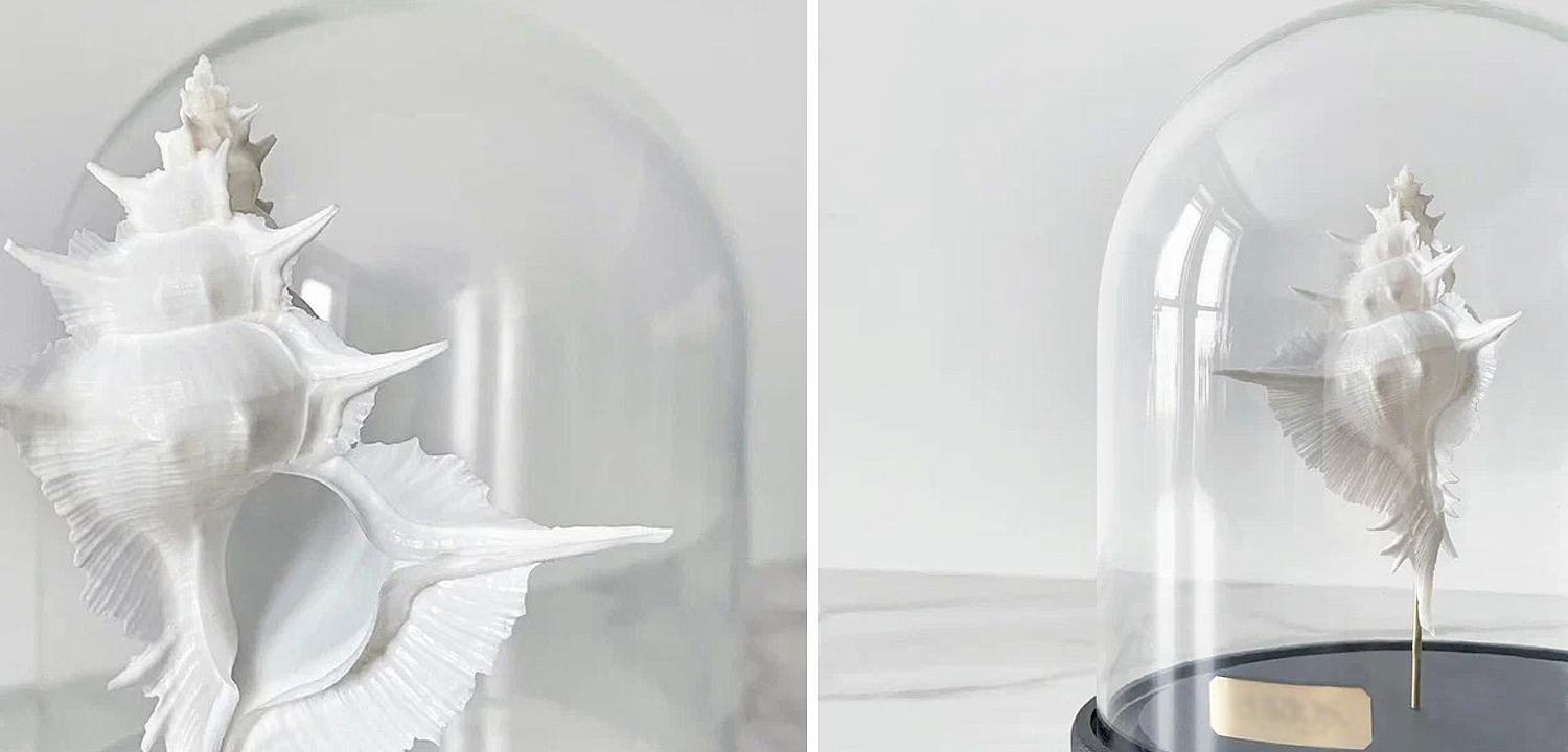 Статуэтка Murex Alabaster Glass Cloche Статуэтка Murex Alabaster Glass Cloche - Loft-Concept в Грозном
