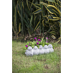 Кашпо Canaries варинант исполнения - 6 | Loft Concept в Грозном