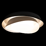 Потолочный светильник круглый черного цвета из металла Vita Cuna варинант исполнения - 1 | Loft Concept в Грозном