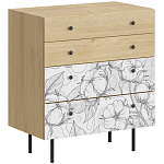 Комод с принтом на ящиках Elise Chest of Drawers варинант исполнения - 14 | Loft Concept в Грозном