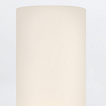 Бра для ванных комнат вертикальное с двумя матовыми белыми стеклянными плафонами Hinkley варинант исполнения - 4 | Loft Concept в Грозном