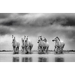 Книга Beusker. Look into my Eyes варинант исполнения - 4 | Loft Concept в Грозном