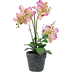 Декоративный искусственное растение Pink orchid варинант исполнения - 5 | Loft Concept в Грозном