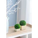 Декоративный искусственное растение Square boxwood варинант исполнения - 5 | Loft Concept в Грозном