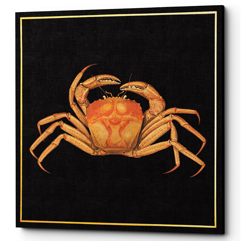 Постер Running Crab Poster Черный Оранжевый Постер Running Crab Poster Черный Оранжевый в Грозном | Loft Concept