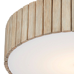 Потолочный светильник круглый светодиодный Contrasting Elements варинант исполнения - 1 | Loft Concept в Грозном