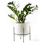 Кашпо из керамики Elevated Planters 32 варинант исполнения - 11 | Loft Concept в Грозном