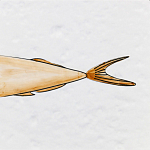 Плитка с узором Рыба Русалка варинант исполнения - 6 | Loft Concept в Грозном