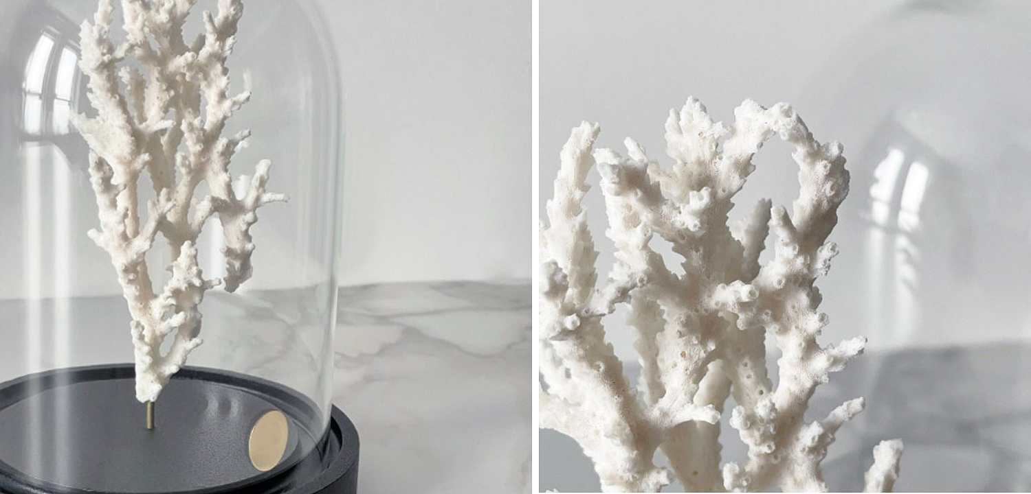 Статуэтка White Coral Glass Cloche Статуэтка White Coral Glass Cloche - Loft-Concept в Грозном
