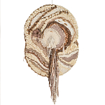 Овальный Современный Гобелен Абстракция в бежевых тонах Shallow варинант исполнения - 7 | Loft Concept в Грозном