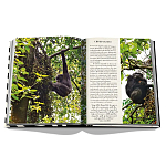 Подарочнный коллекционный фото альбом AFRICAN ADVENTURES NEW 2023 ASSOULINE HC UNBELIEVABLE ILLUSTRATIONS Safari варинант исполнения - 8 | Loft Concept в Грозном