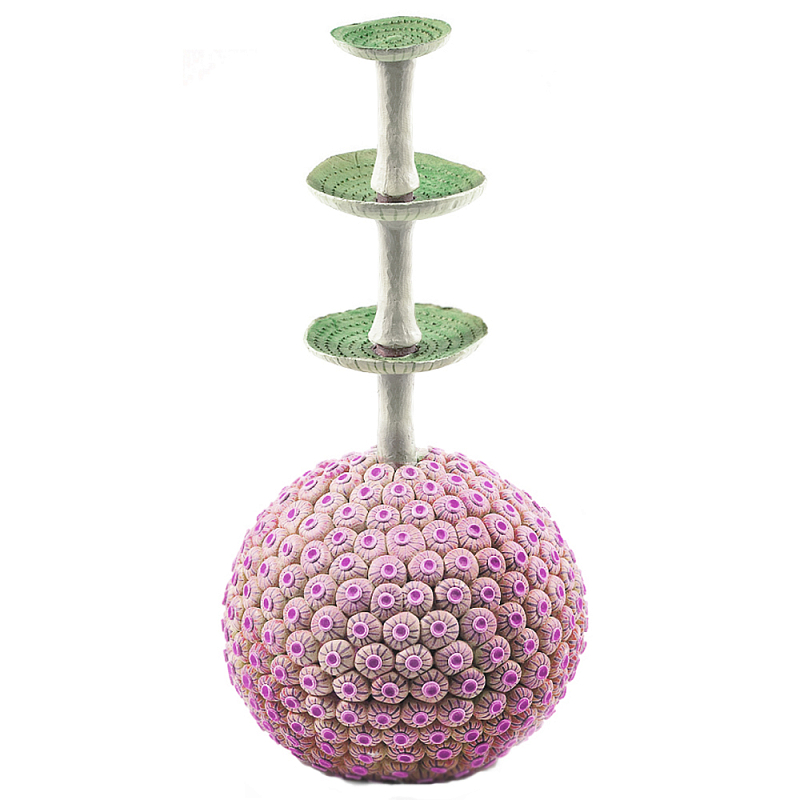 Статуэтка розовый экзотический фрукт Exotic Tropical Fruit 61 Зеленый Розовый в Грозном | Loft Concept 